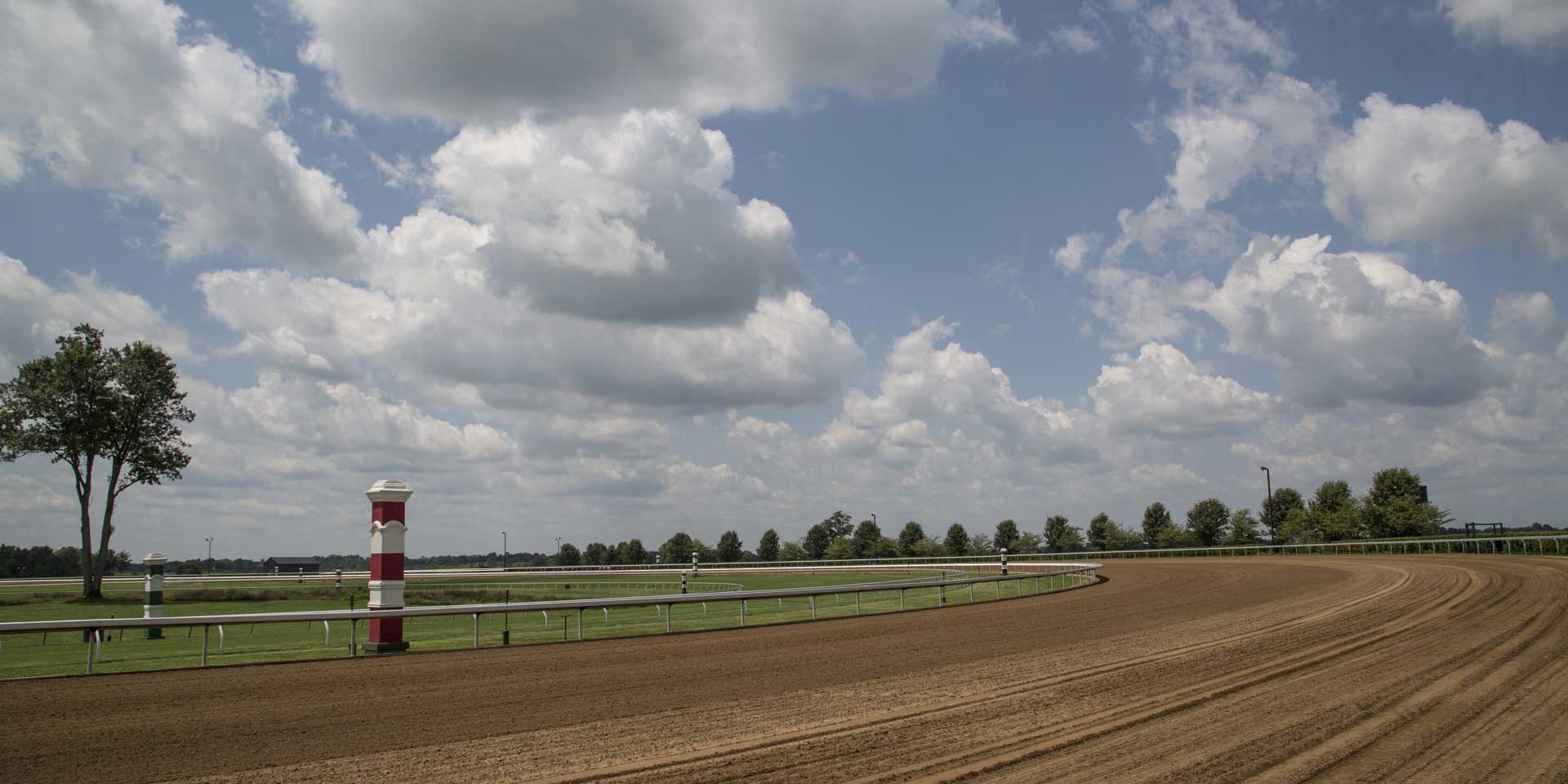 A wide shot of one of Elitehorses’s dirt tracks.